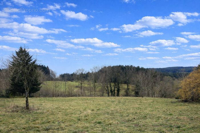 Terrain à RAUCOULES