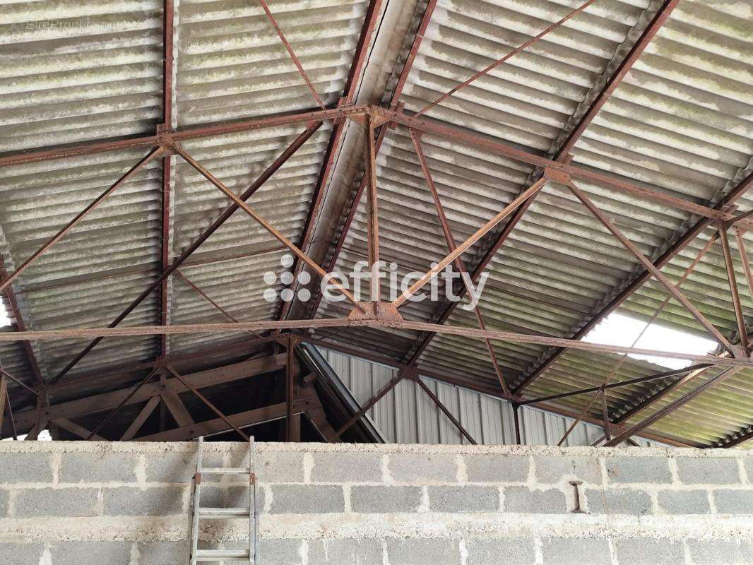 Commerce à TREMBLAY-LES-VILLAGES