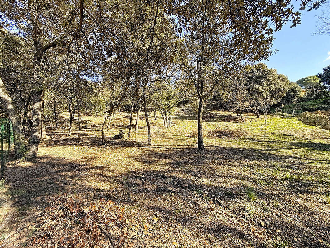 Terrain à PUGET