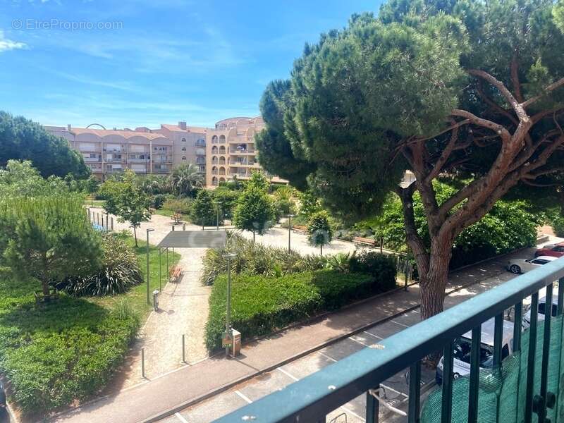 Appartement à vendre 2 pièces HYERES (83) - Port de Hyères - Parking - Terrasses - Cave - photo 8