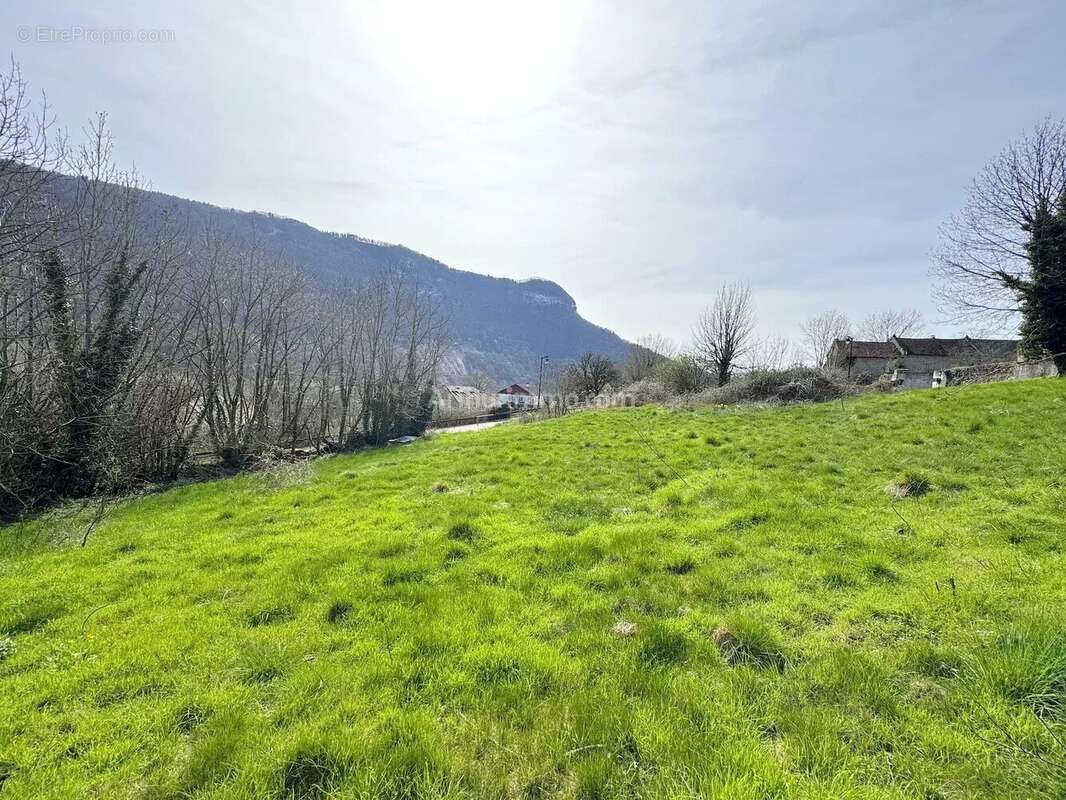 Terrain à PREMEYZEL