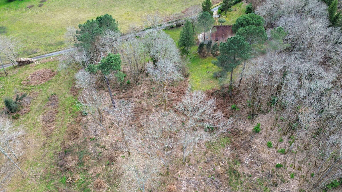 Terrain à CARSAC-AILLAC