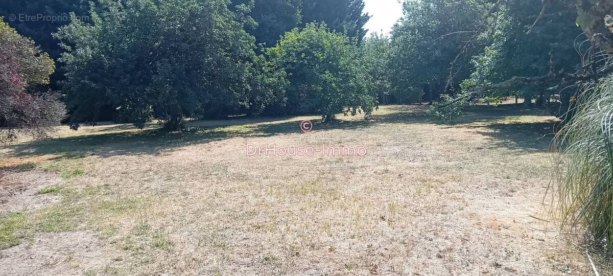 Terrain à MAZIERES-DE-TOURAINE