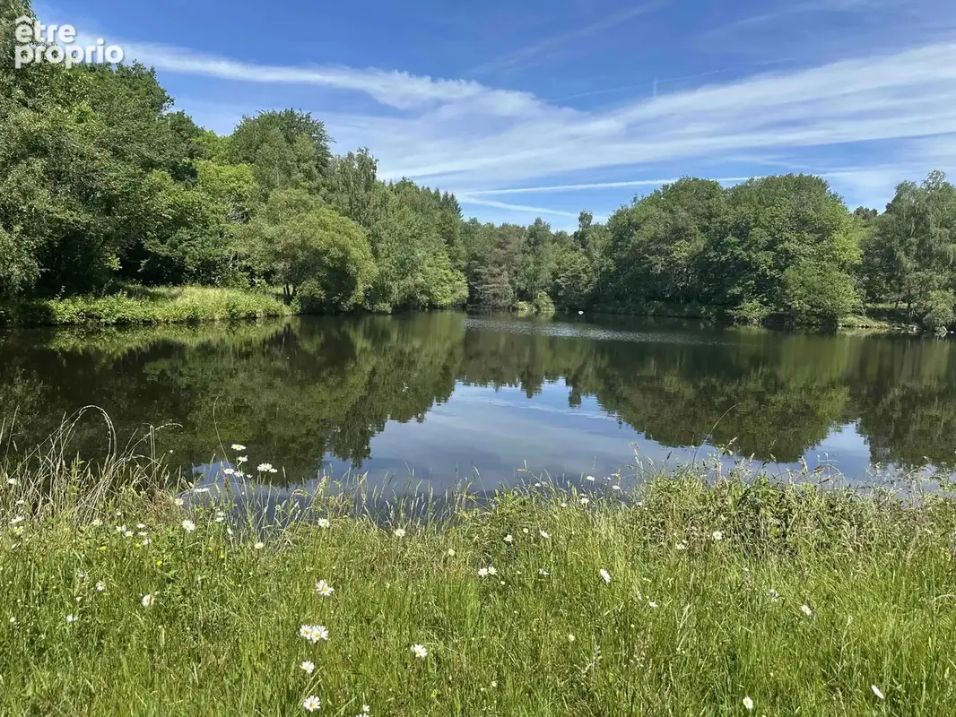 Rare opportunité – ensemble immobilier avec potentiel locatif et étang de pêche - photo 2
