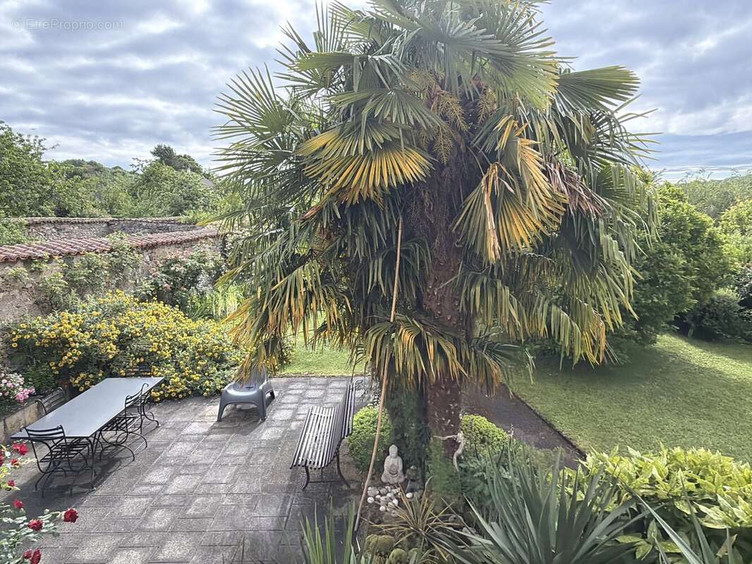 Une propriété chargée d'histoire qui évoque une atmosphère valencienne dès l'entrée - photo 14