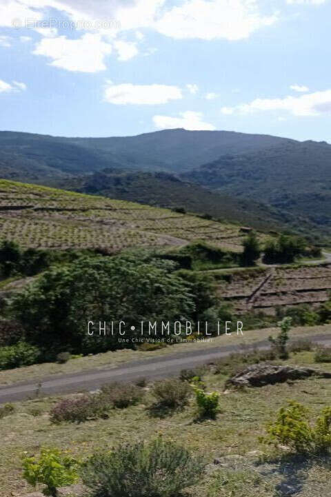 Terrain à COLLIOURE