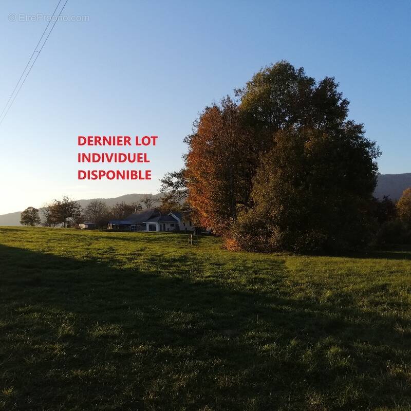 Terrain à CRUSEILLES