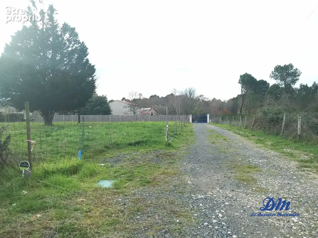 Terrain 881 m² à vendre à Avensan (33480) - photo 2