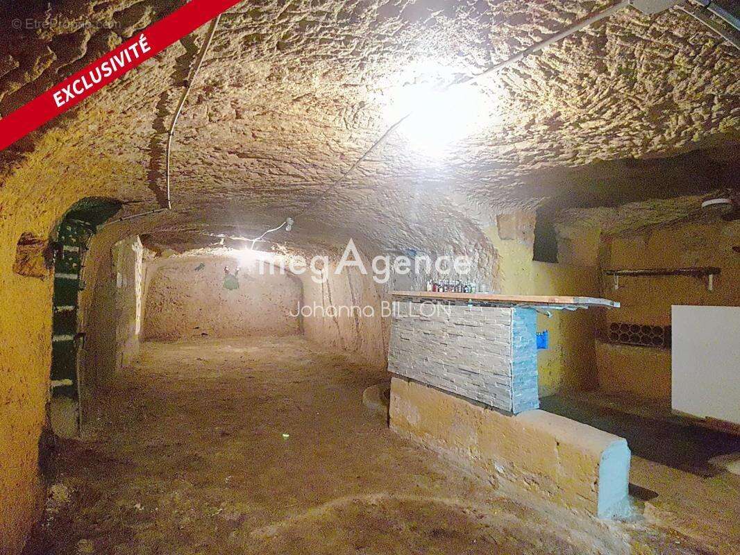 Maison de charme avec véranda, annexes et caves !! - photo 13