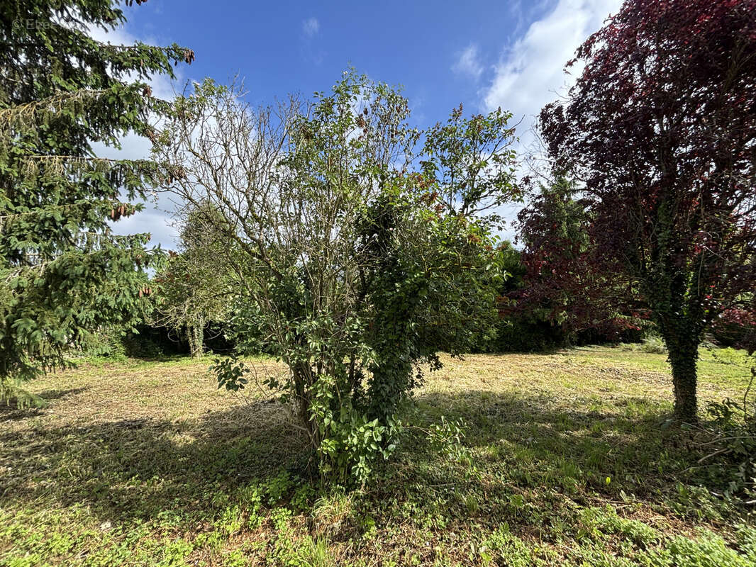 Terrain à COULOMMIERS