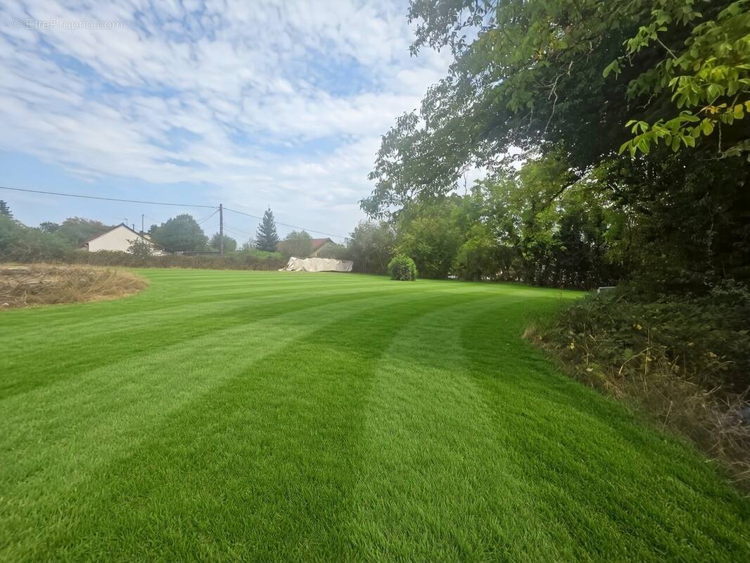 Terrain à VERS-SOUS-SELLIERES