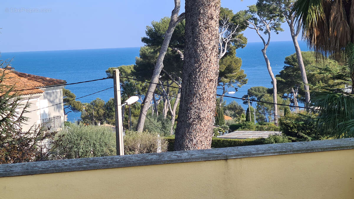 Maison 450 m² à Antibes  - photo 10