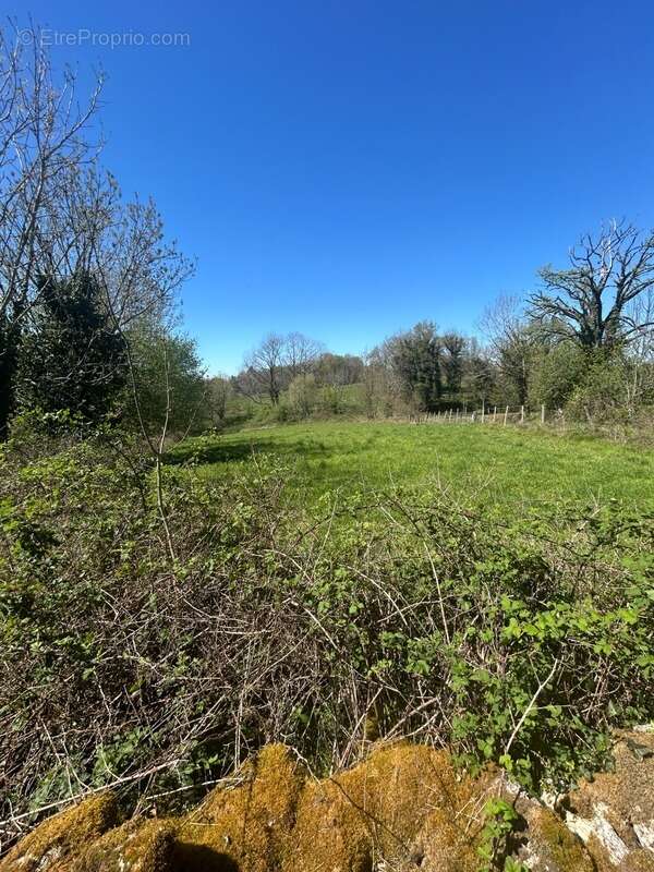 Maison à BERSAC-SUR-RIVALIER