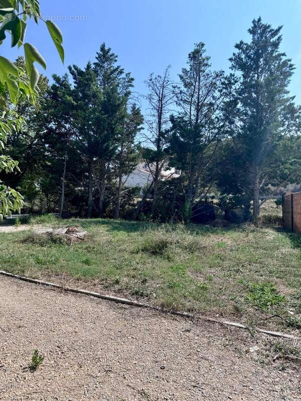 Terrain à SALON-DE-PROVENCE