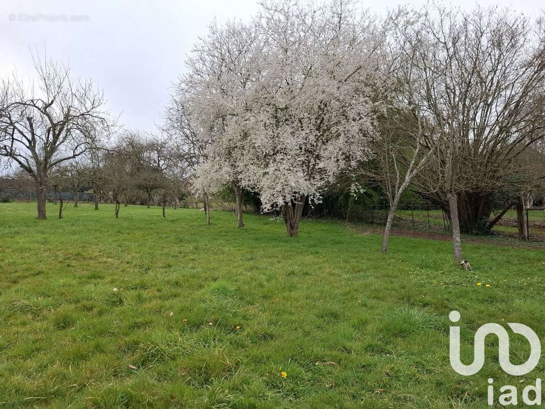 Photo 8 - Maison à DOMFRONT-EN-CHAMPAGNE