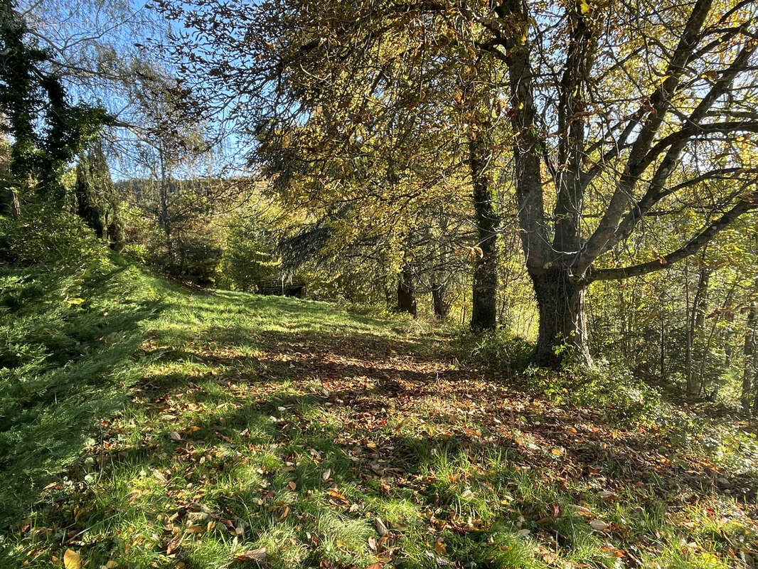 Maison à COURS-LA-VILLE