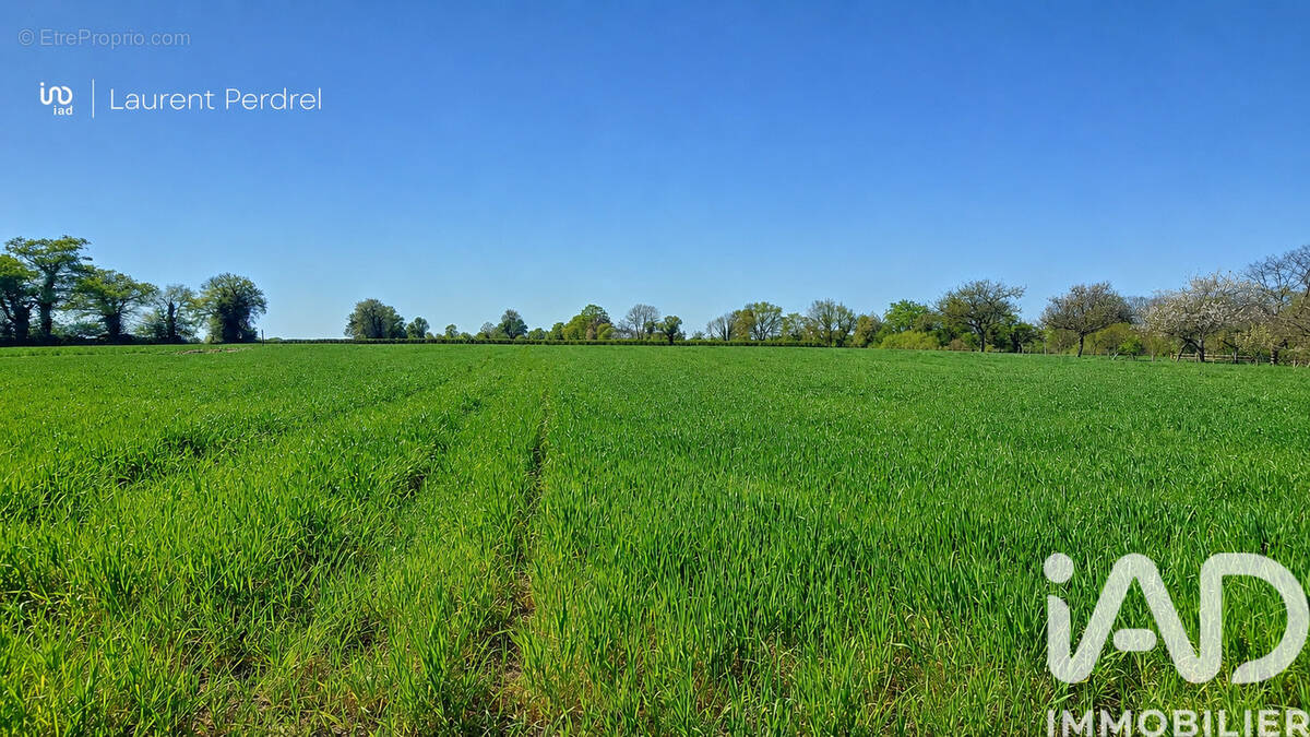 Photo 1 - Terrain à ALLAIRE