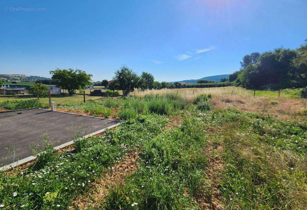 Terrain Maison Communay - photo 2