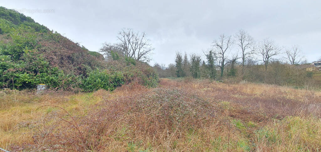 Terrain à MONT-DE-MARSAN