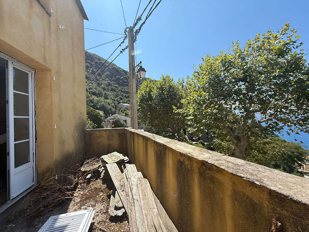 Maison à NONZA