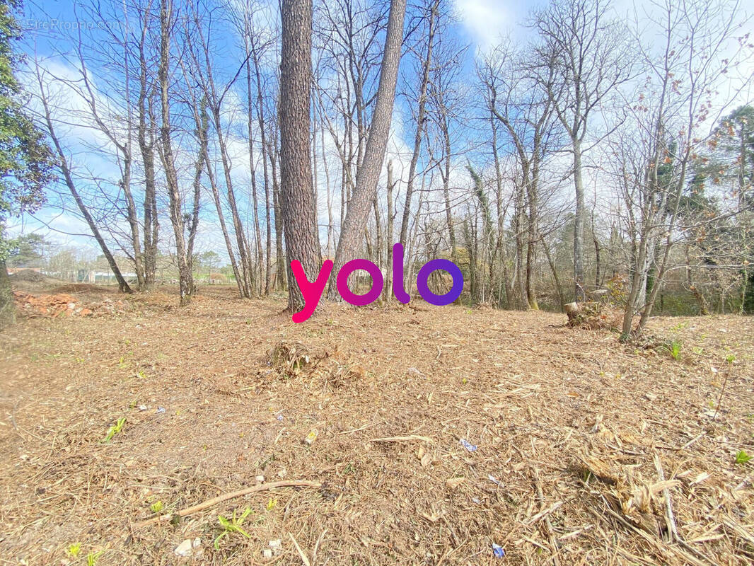 Terrain à CHANCELADE