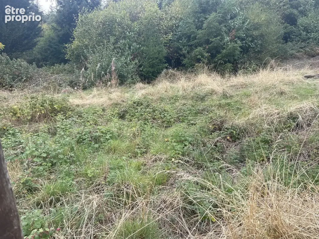 Terrain constructible au calme - photo 6