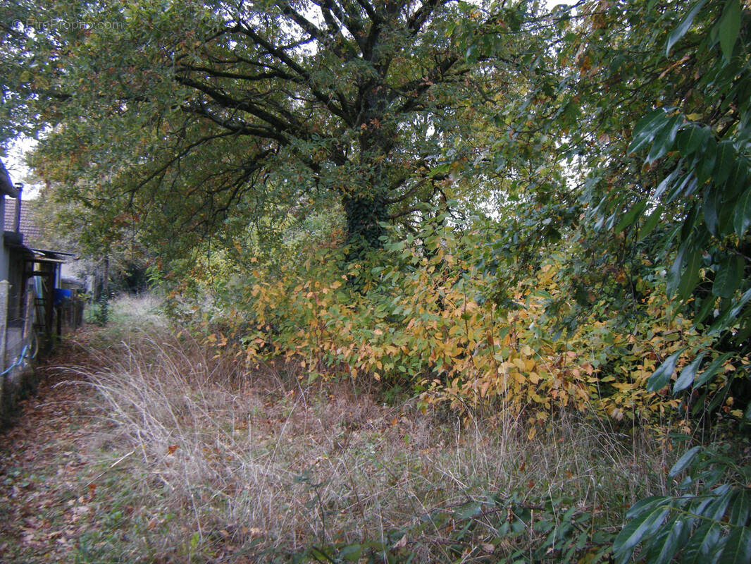 Terrain à CLOYES-SUR-LE-LOIR