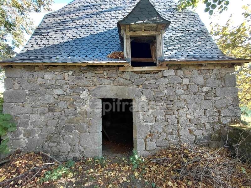 Maison de Maître du XVIIIe siècle avec dépendances et terrain de plus de 3 hectares – Puycapel (15) - photo 5