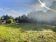 Terrain à EXCENEVEX