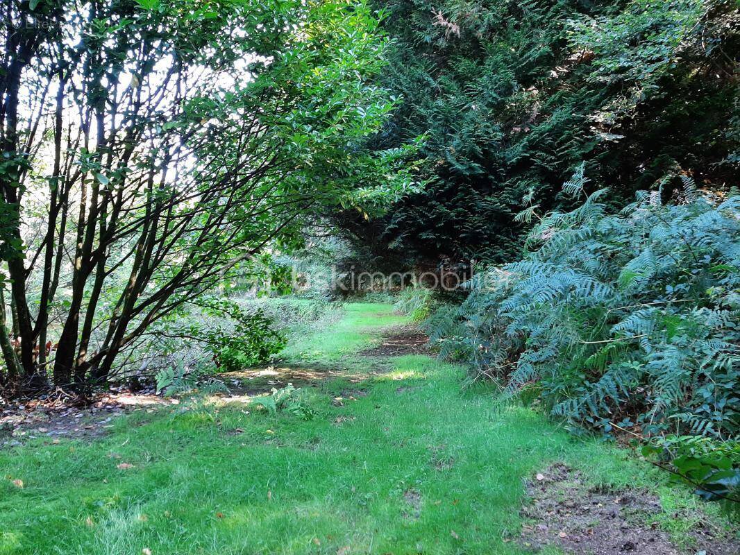 Terrain à COGNAC-LA-FORET