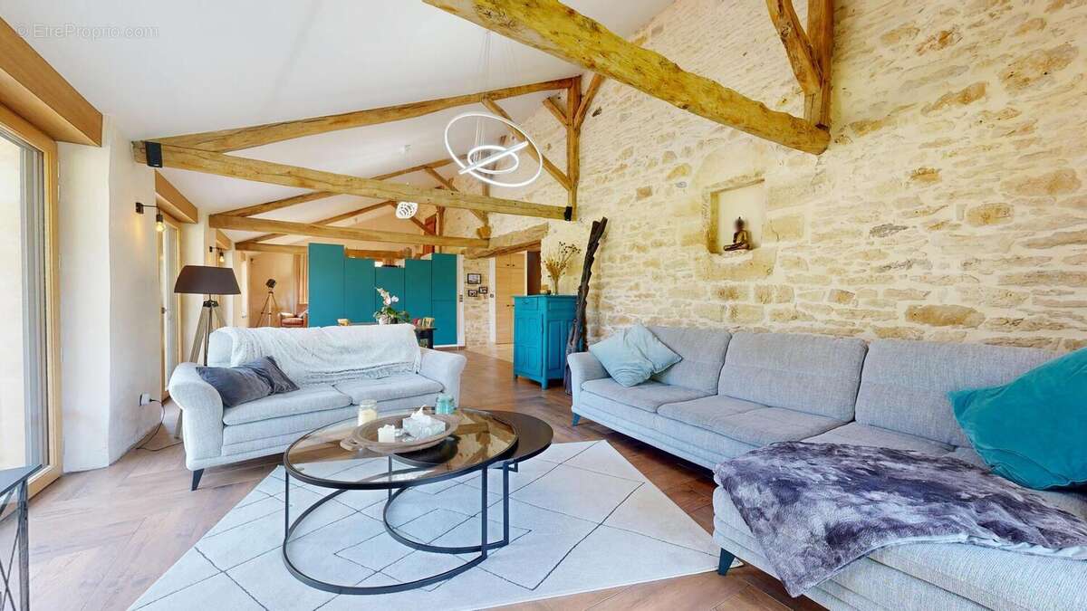 Salon RDC - Maison à SAINT-CYPRIEN