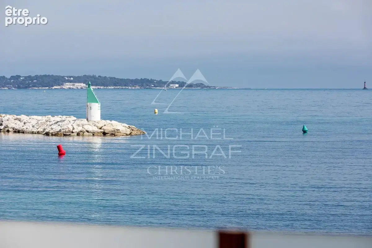 Cannes - Palm Beach - Emplacement exceptionnel - photo 2