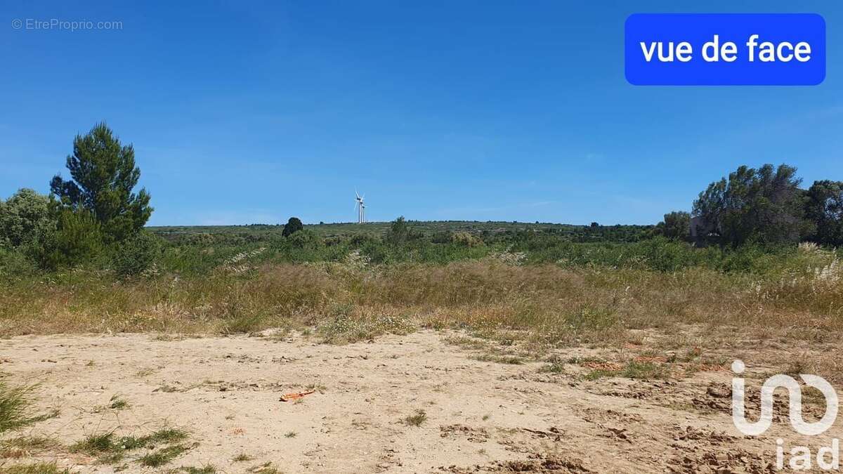 Photo 3 - Terrain à LA PALME