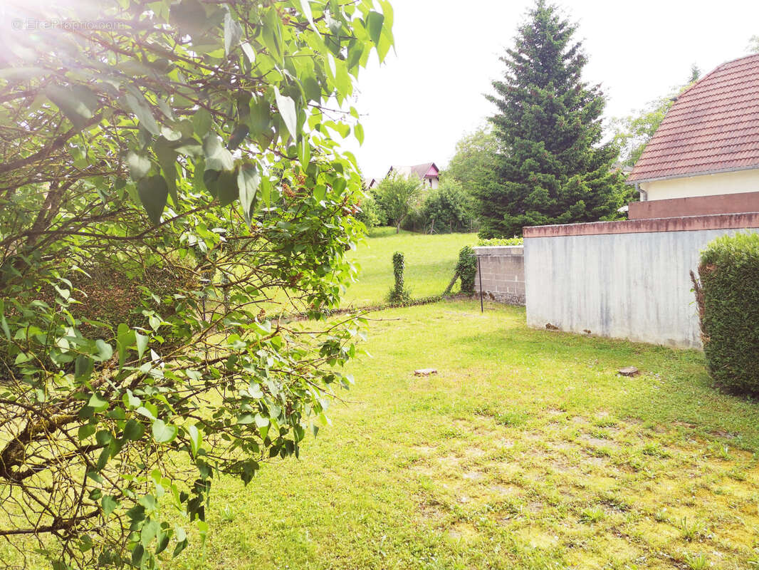 Maison à SOULTZ-SOUS-FORETS