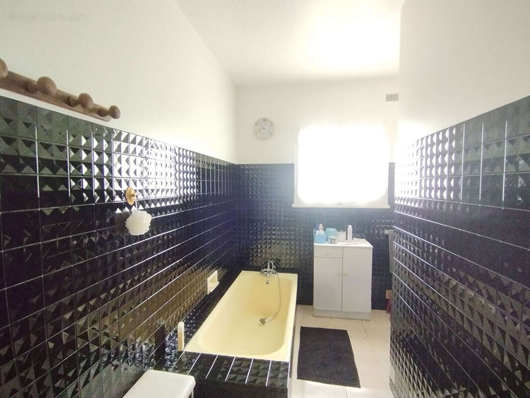 Maison à LA ROCHE-POSAY