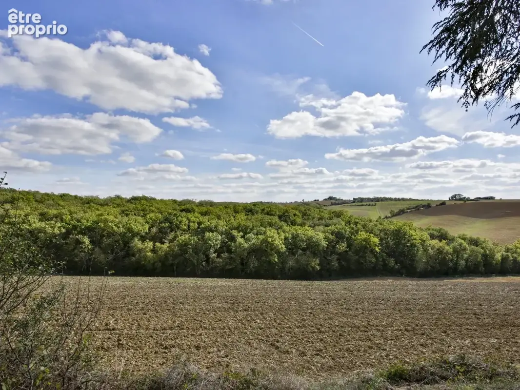 Le calme, enfin. - photo 7