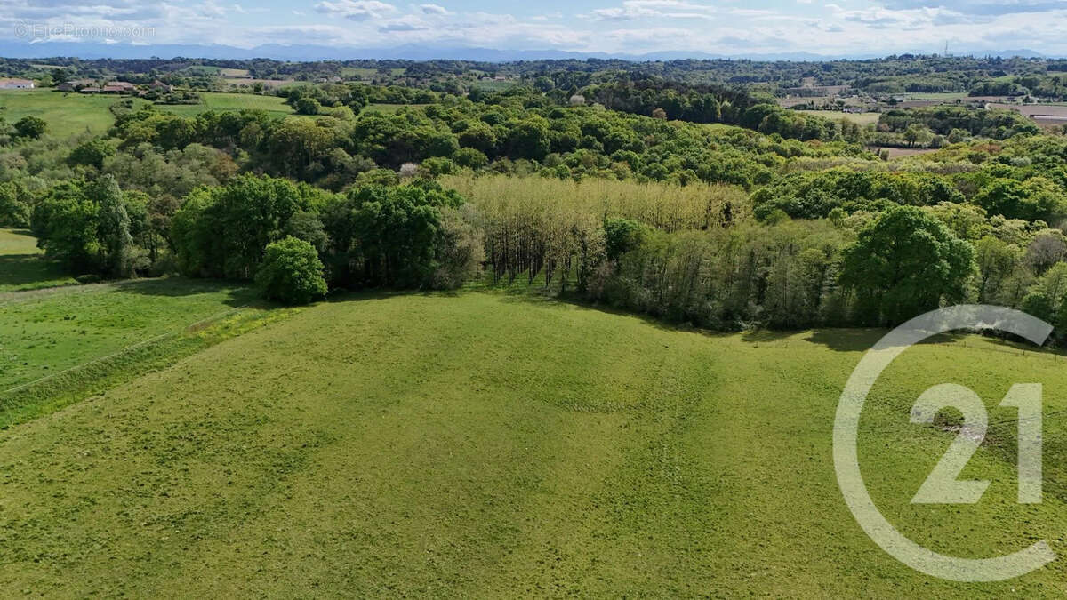 Terrain à ORTHEZ