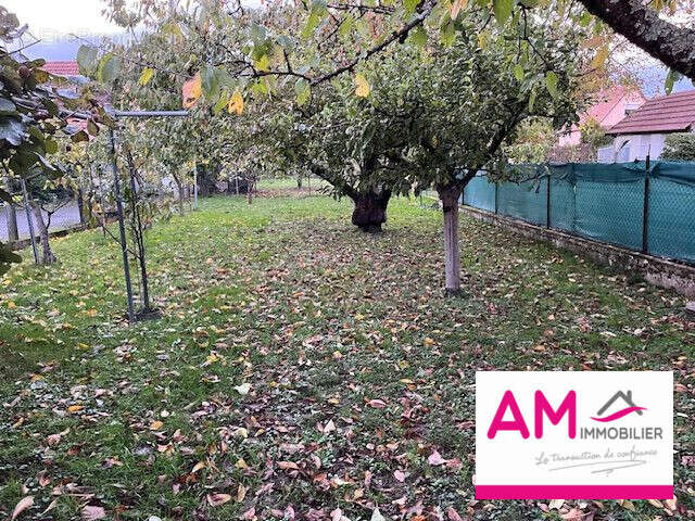 Terrain à SOULTZ-HAUT-RHIN