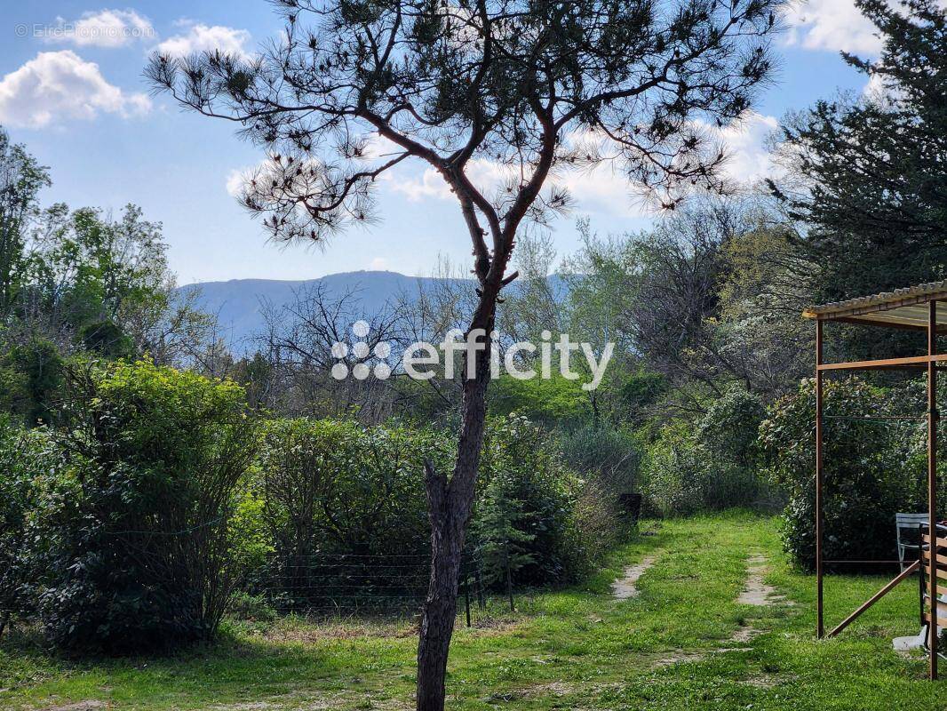Maison à SAINT-REMY-DE-PROVENCE