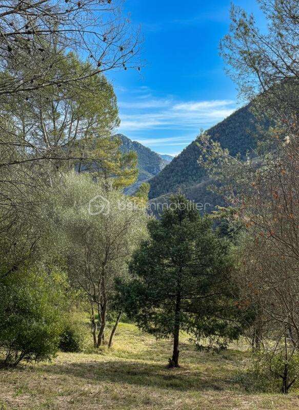 Rare à Pierrefeu : 3 046 m² de nature dont 1 084 m² constructibles, accès direct et étude de sol déjà réalisée - photo 4
