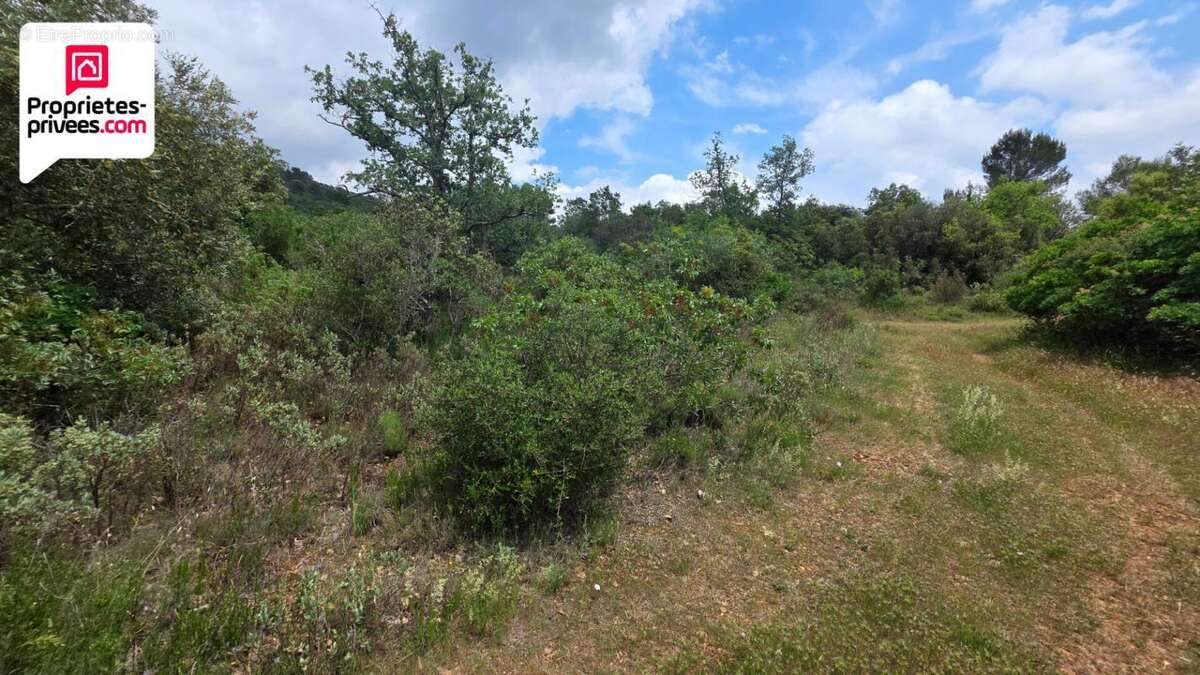 Terrain à SAINT-CEZAIRE-SUR-SIAGNE