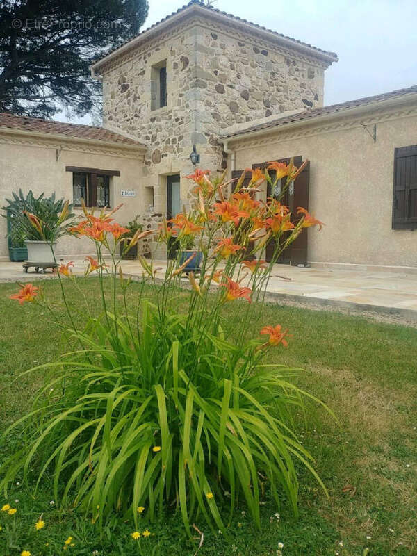 VENTE :   Domaine d'Exception à SARRAZIET - photo 4