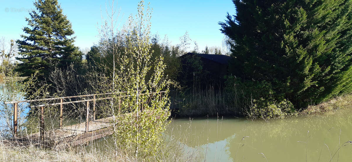 Terrain à CHATEAU-SALINS