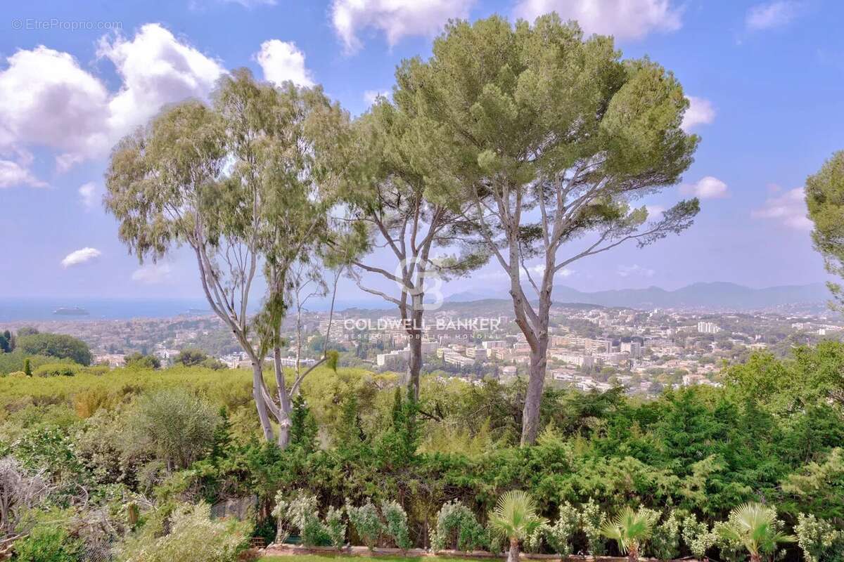 Maison à MOUGINS