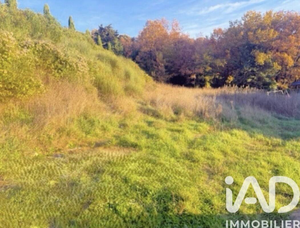 Photo 1 - Terrain à SAINT-MARCEL-LES-SAUZET