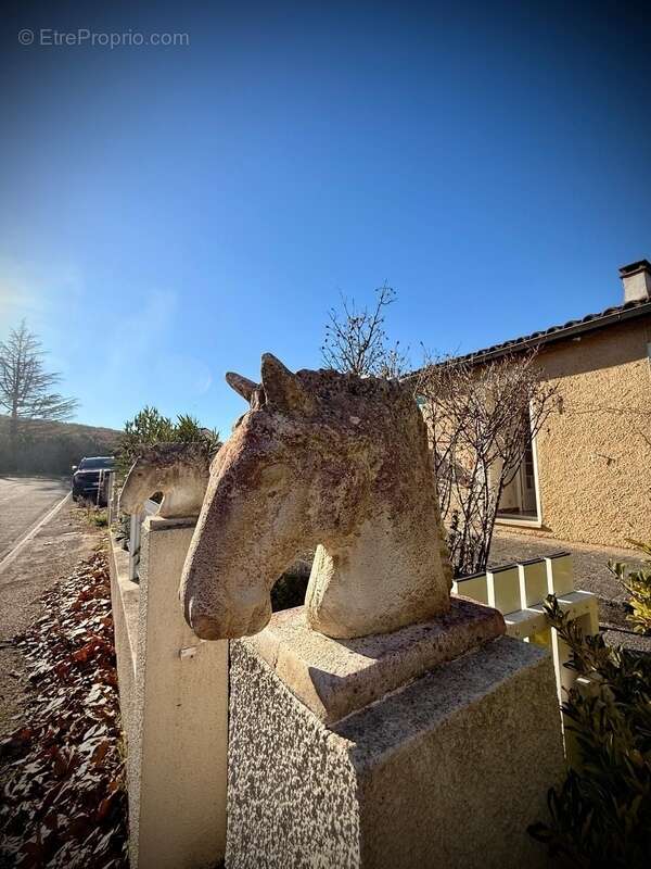 Maison à BELVEZE-DU-RAZES