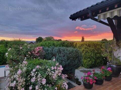 Maison à EVIAN-LES-BAINS