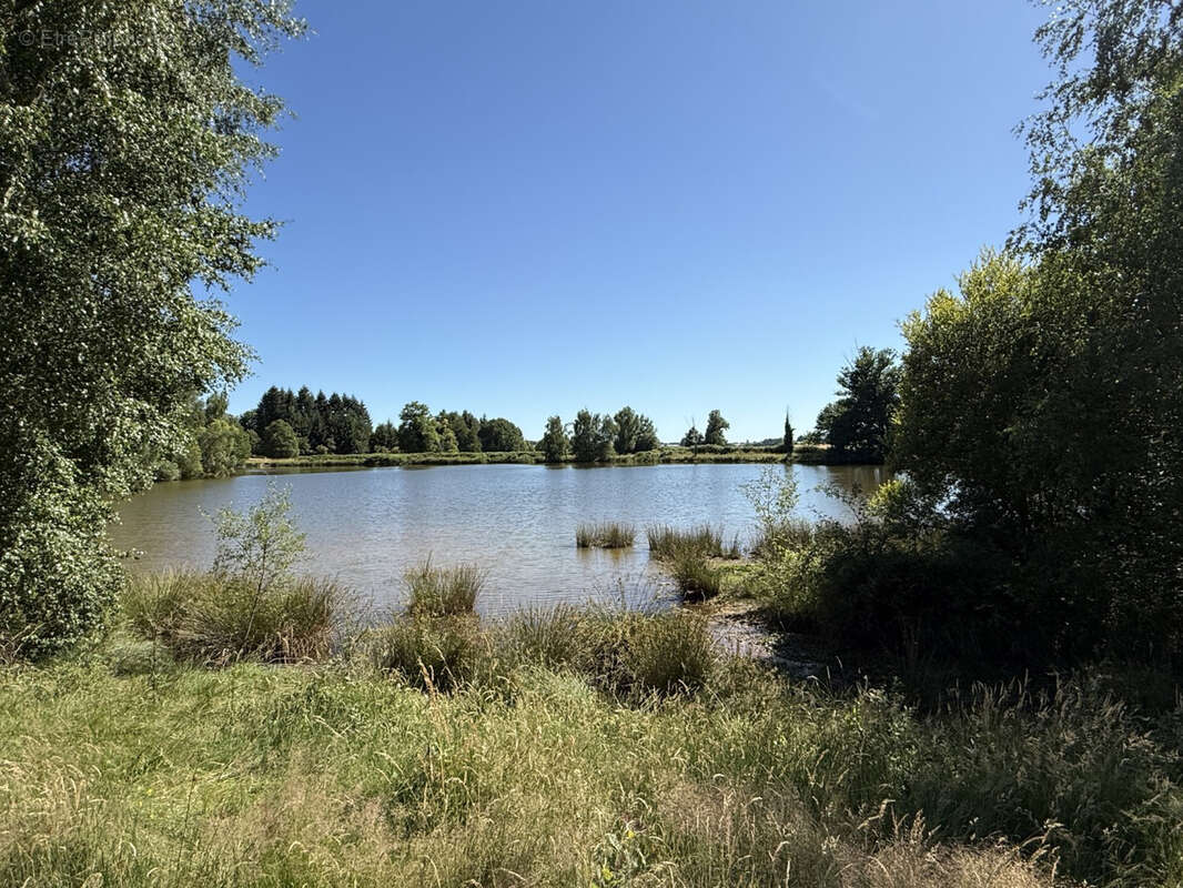 Parcelle de 8ha avec etang - photo 4