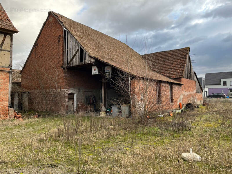 Autre à MUTTERSHOLTZ