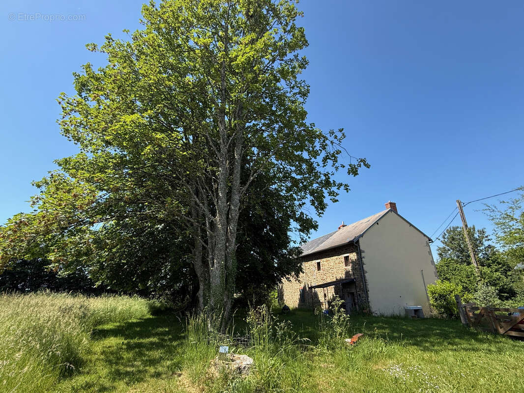 Maison à NEUF-EGLISE